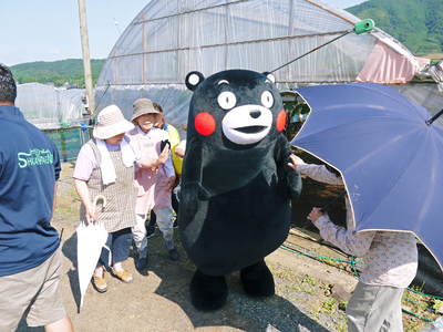 熊本ぶどう 高級種なしぶどう「山鹿のぶどう」 本日初出荷!&社方園よりテレビ生中継の裏話!(前編)_a0254656_19295198.jpg