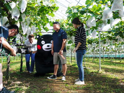 熊本ぶどう 高級種なしぶどう「山鹿のぶどう」 本日初出荷!&社方園よりテレビ生中継の裏話!(前編)_a0254656_1965437.jpg
