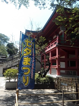 七夕_a0061057_2333493.jpg