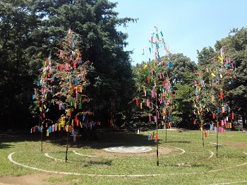七夕_a0061057_2345211.jpg