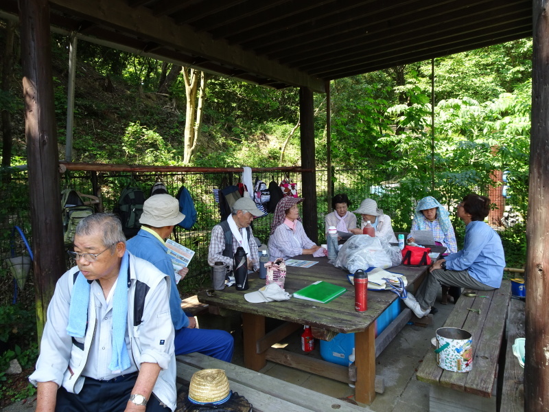 うみべの森にもカブトムシはいた_c0108460_17172318.jpg