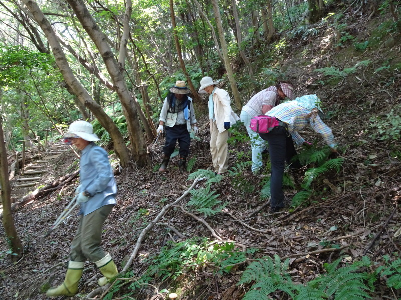 うみべの森にもカブトムシはいた_c0108460_17250784.jpg