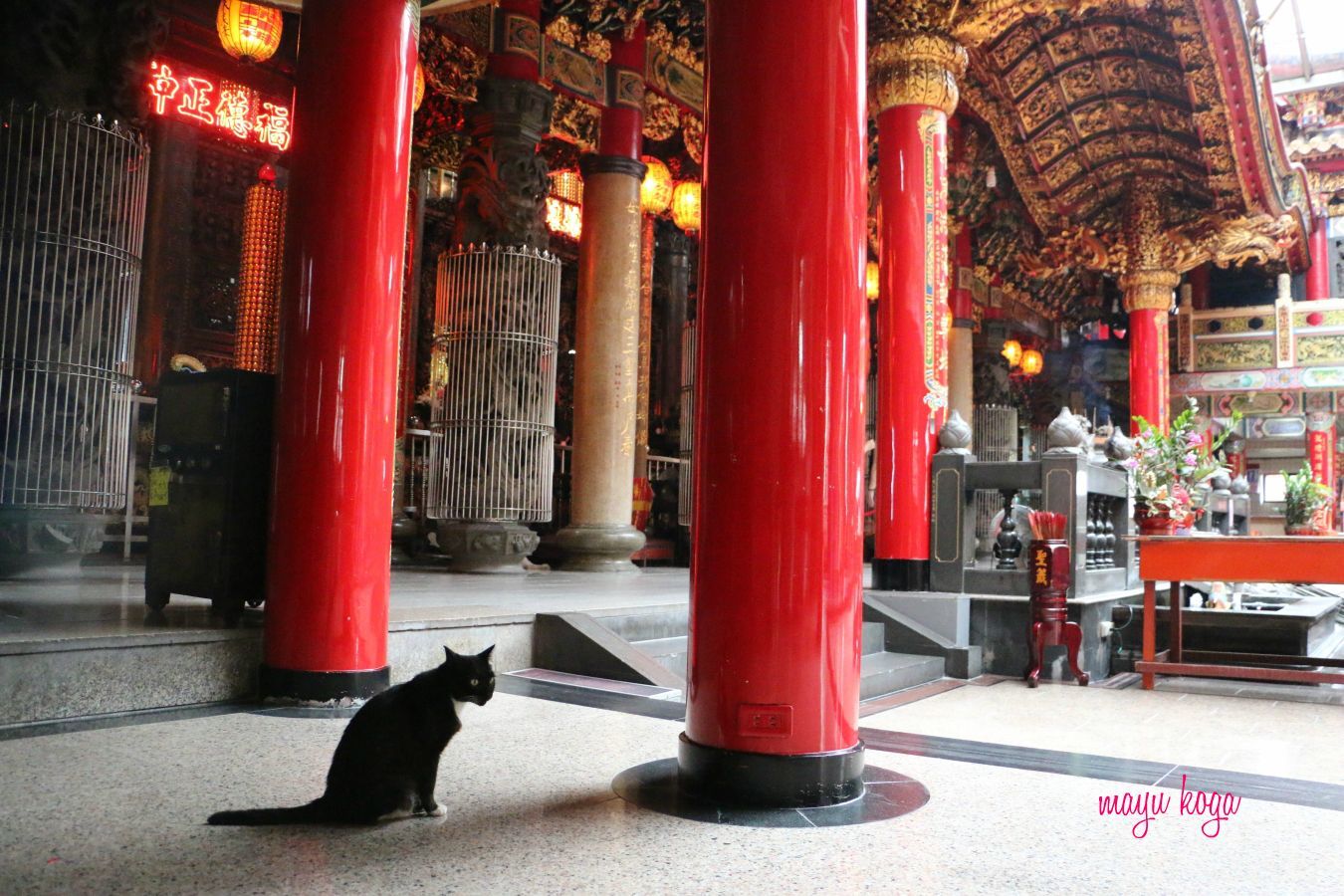 台湾の猫寺。赤が映える鮮やかなお寺。_e0255060_00194540.jpg