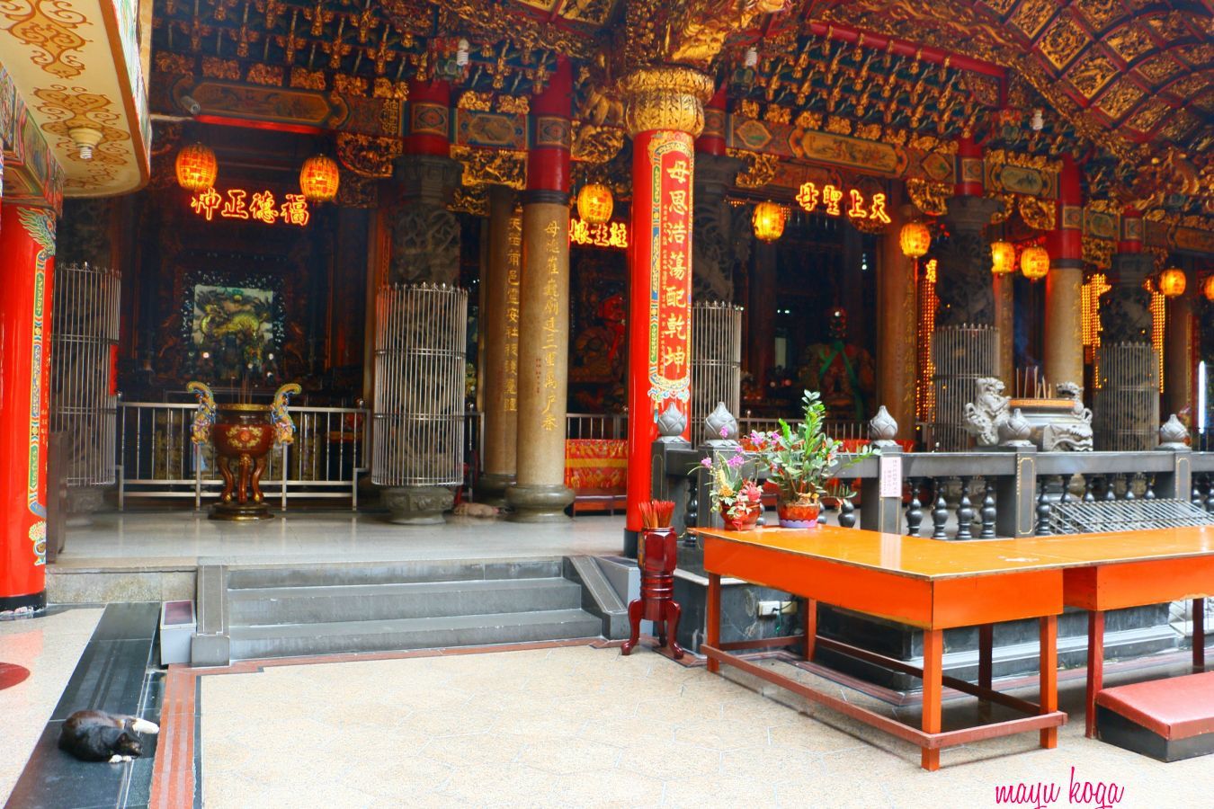 台湾の猫寺。赤が映える鮮やかなお寺。_e0255060_00224212.jpg