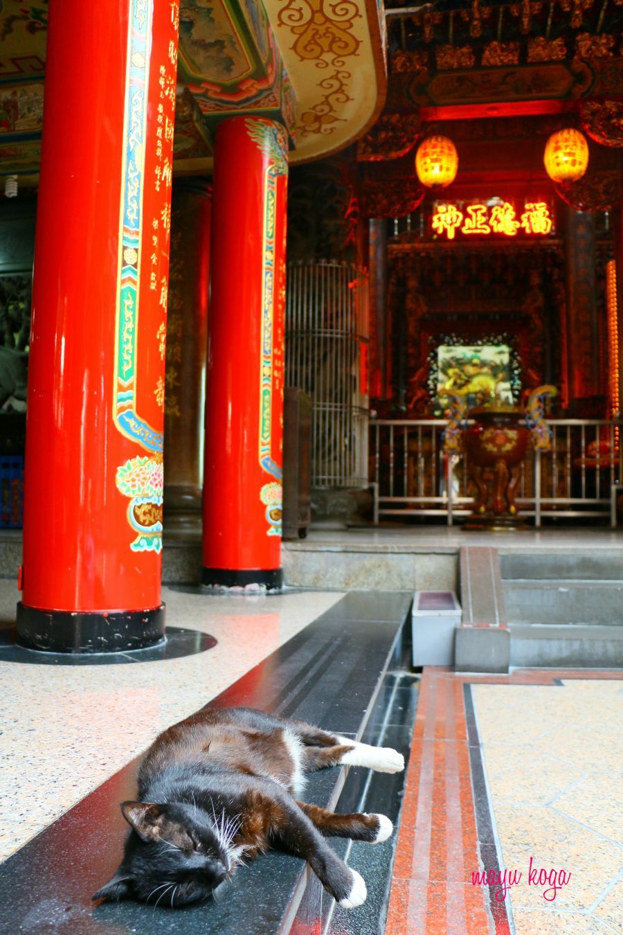 台湾の猫寺。赤が映える鮮やかなお寺。_e0255060_00263295.jpg