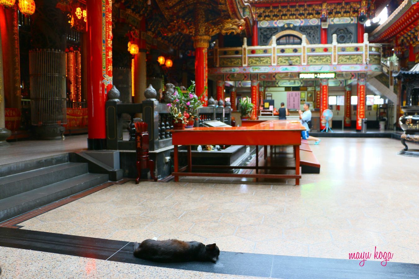 台湾の猫寺。赤が映える鮮やかなお寺。_e0255060_00285332.jpg