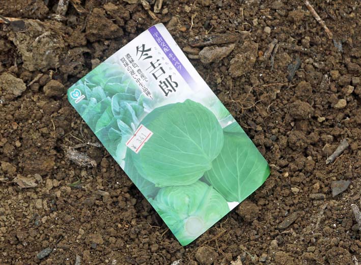 サトイモに２度目の追肥と土寄せ＆トウモロコシの種蒔き7・6_c0014967_9104846.jpg