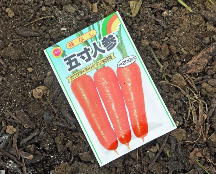 サトイモに２度目の追肥と土寄せ＆トウモロコシの種蒔き7・6_c0014967_992299.jpg