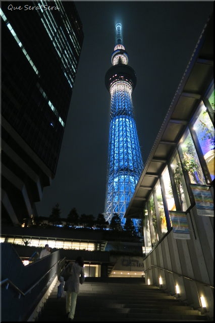 d0098183_86436.jpg