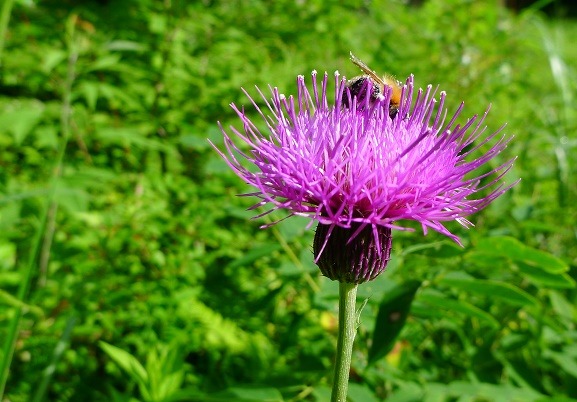 a0130586_8375251.jpg