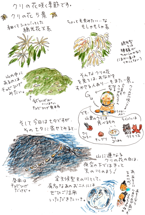 f0236291_6115732.gif