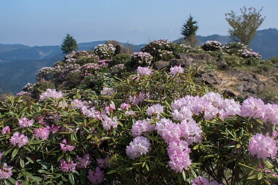 e0176993_07381335.jpg