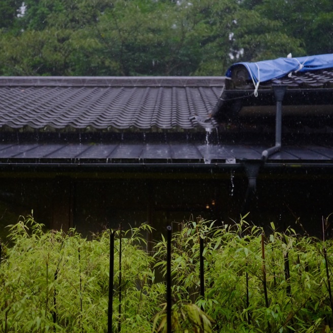 地震後の熊本へ（2）大雨の中、阿蘇へ向かう。_e0354593_21175471.jpg