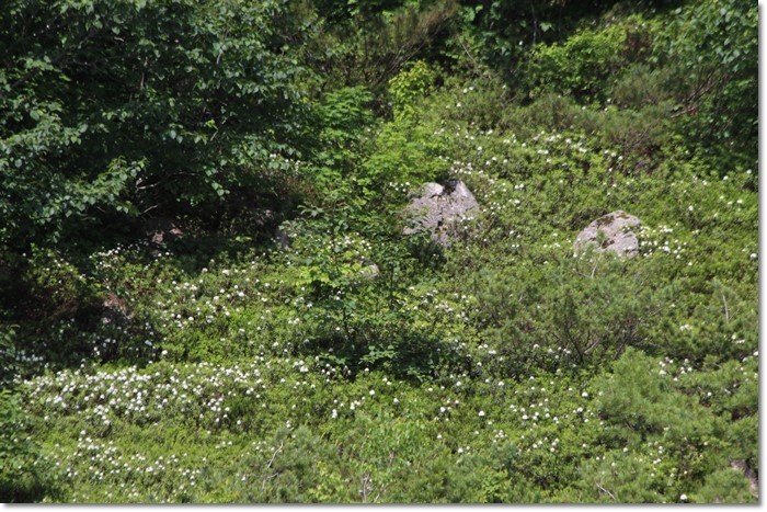 f0146493_21415643.jpg