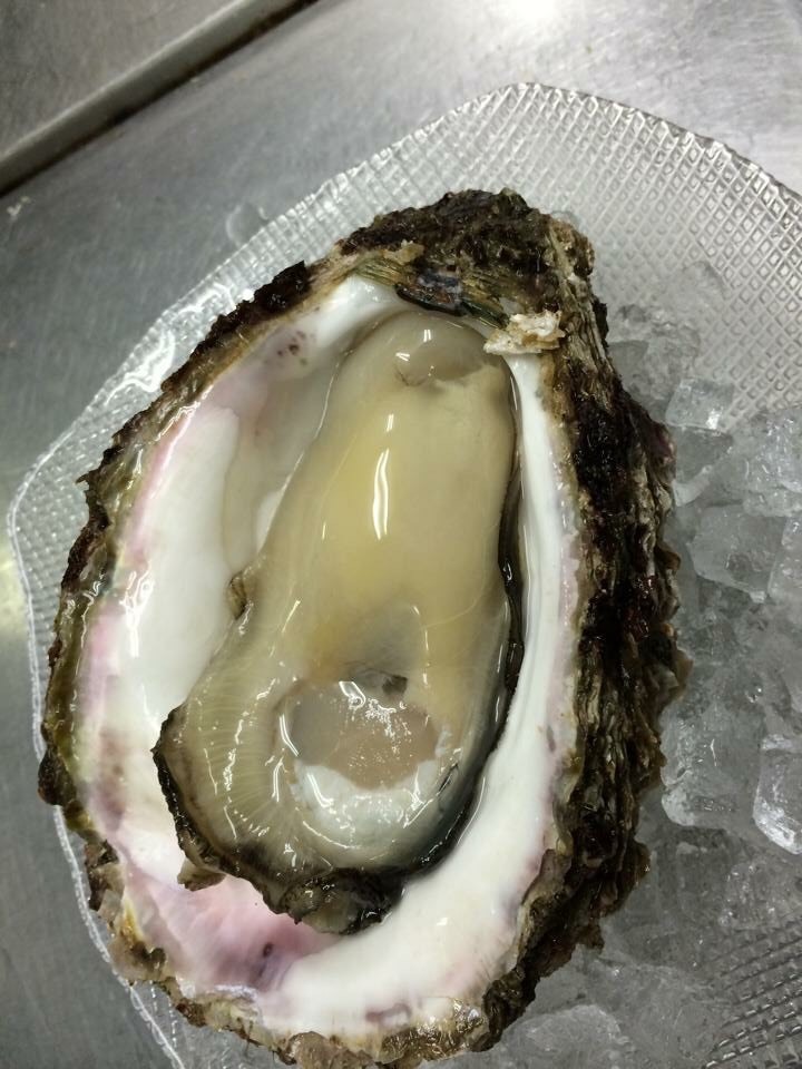 【親不知産 岩かき】_d0235898_14251408.jpg