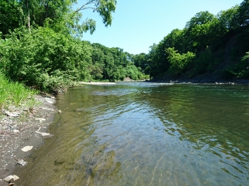 渚滑川を歩く（北海道釣り行脚３）_f0353906_12375611.jpg