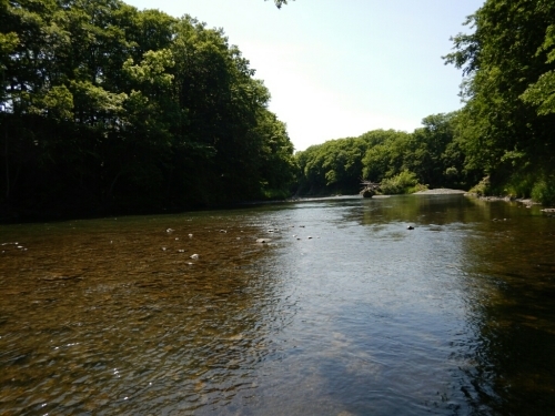 渚滑川を歩く（北海道釣り行脚３）_f0353906_12380422.jpg