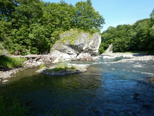 渚滑川を歩く（北海道釣り行脚３）_f0353906_12400456.jpg