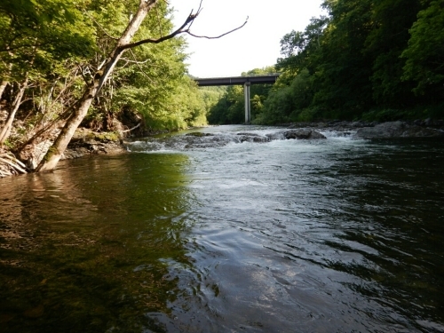 渚滑川を歩く（北海道釣り行脚３）_f0353906_12400834.jpg