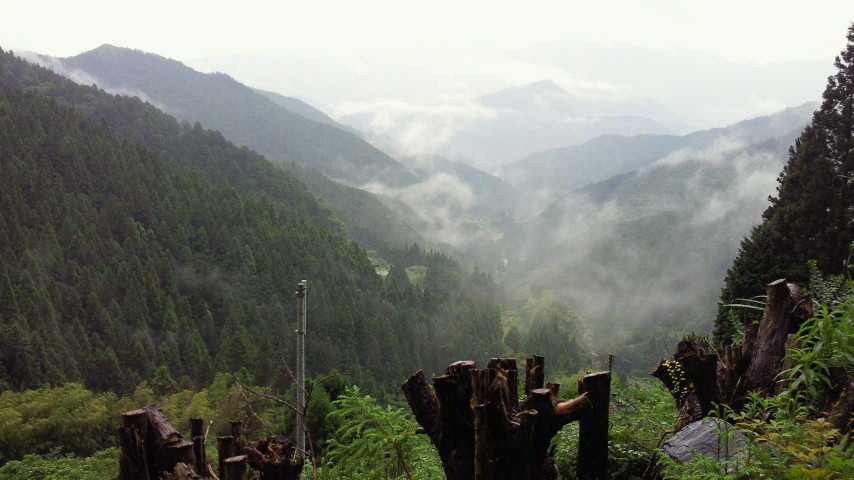 f0006215_8233798.jpg