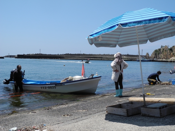 c0212823_1734360.jpg