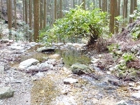d0006323_23492046.jpg