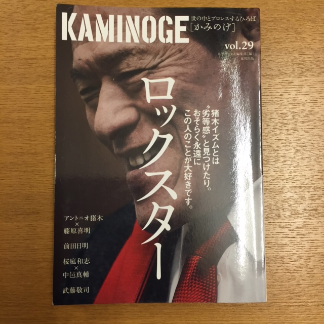 KAMINIGE vol.29_b0000829_21161566.jpg