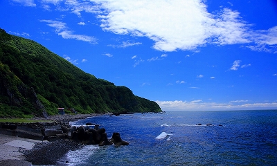 c0123031_2022966.jpg