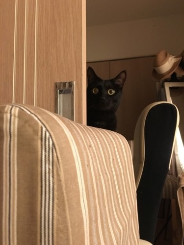 b0341440_01085437.jpeg