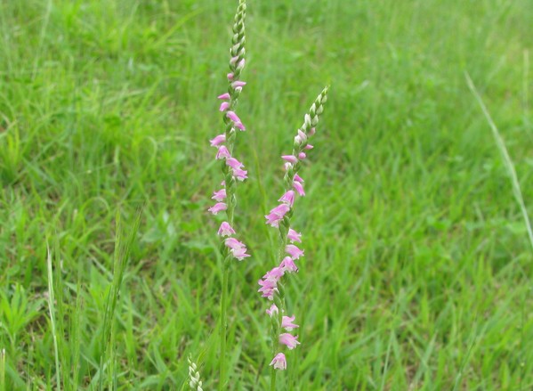f0151044_6305312.jpg