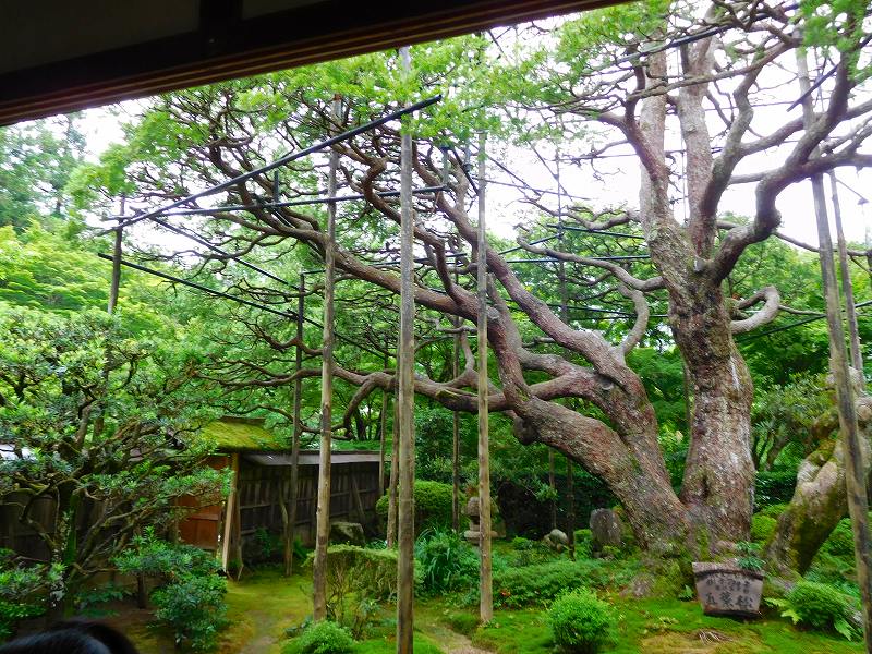 額縁の窓の「宝泉院（大原）」20160625_e0237645_13525423.jpg