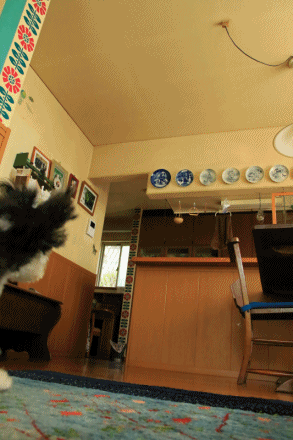 c0145250_11391012.gif