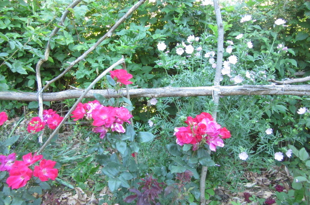 b0247153_10255030.jpg