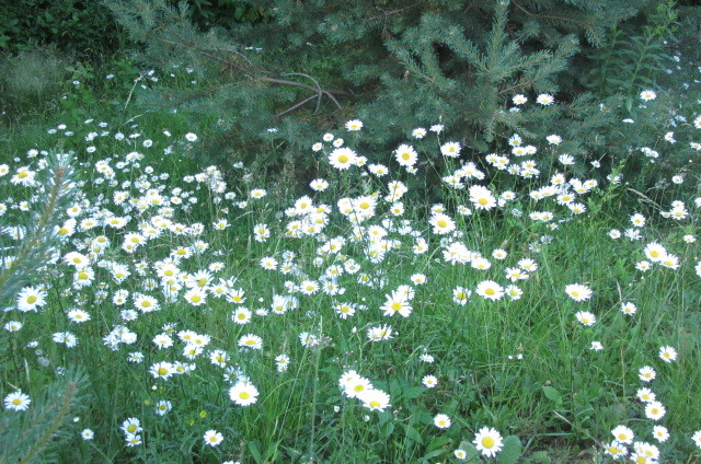b0247153_10282605.jpg