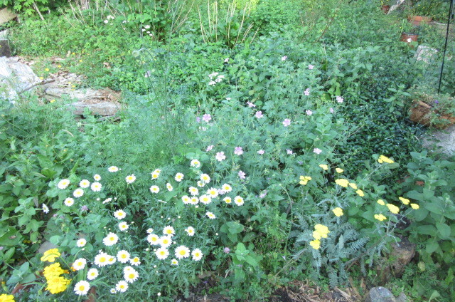 b0247153_10295673.jpg