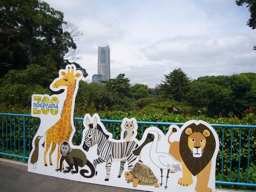 野毛山動物園　もろもろ・・・_d0204154_18193748.jpg