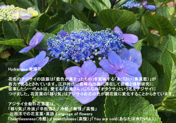 一枚の写真から・・・_a0346455_19414672.jpg