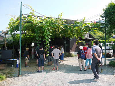 熊本ぶどう 高級種なしぶどう「山鹿のぶどう」 本日初出荷!&社方園よりテレビ生中継の裏話!(後編)_a0254656_18184159.jpg