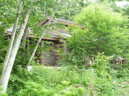 b0129758_1716405.gif