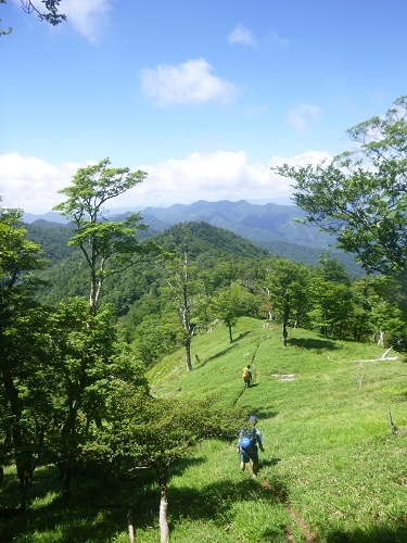 池郷川上流部~大峰奥駆道南部 その2_a0353466_11392119.jpg