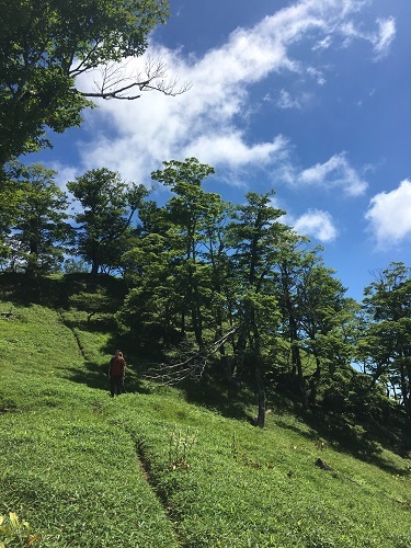 池郷川上流部~大峰奥駆道南部 その2_a0353466_11392688.jpg