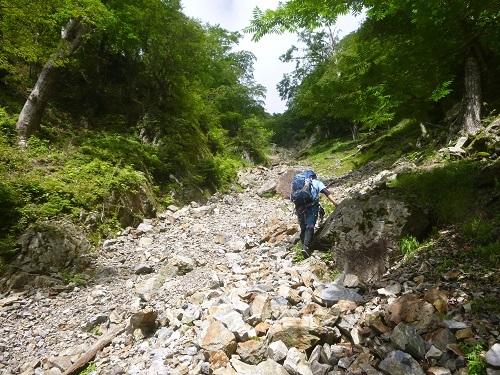 池郷川上流部~大峰奥駆道南部 その2_a0353466_11395761.jpg