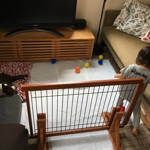 d0041575_21563646.jpeg