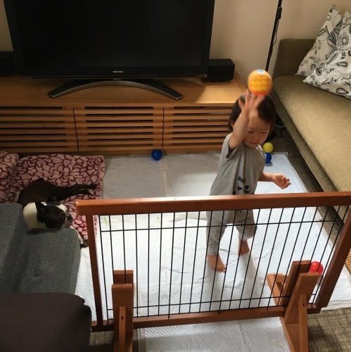 d0041575_21585526.jpeg