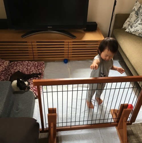 d0041575_21590993.jpeg