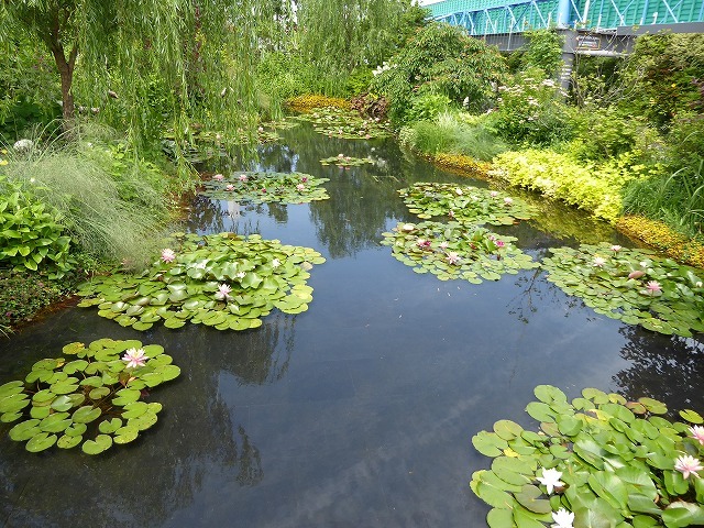 b0287088_21065998.jpg
