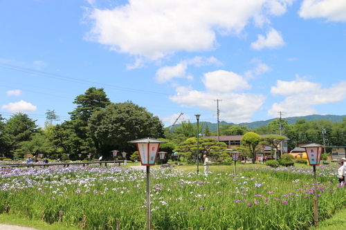 水と緑と花の長井あやめ公園・・・２９_c0075701_75335.jpg