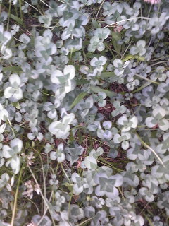 c0097806_23331744.jpg
