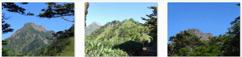 f0231709_14474130.gif