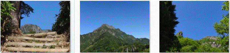 f0231709_14475726.gif